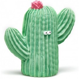 Cactus Senzorial 510